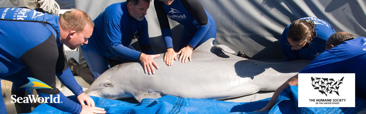 Partnership between SeaWorld and the Humane Society of the United States